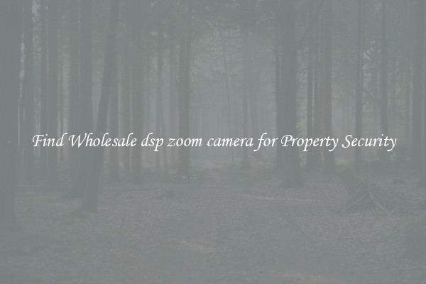 Find Wholesale dsp zoom camera for Property Security