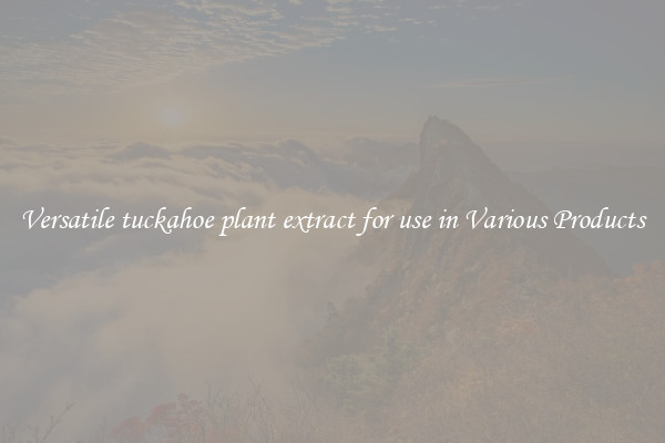 Versatile tuckahoe plant extract for use in Various Products