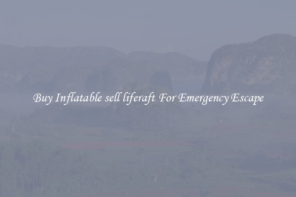 Buy Inflatable sell liferaft For Emergency Escape