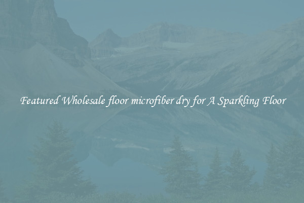 Featured Wholesale floor microfiber dry for A Sparkling Floor