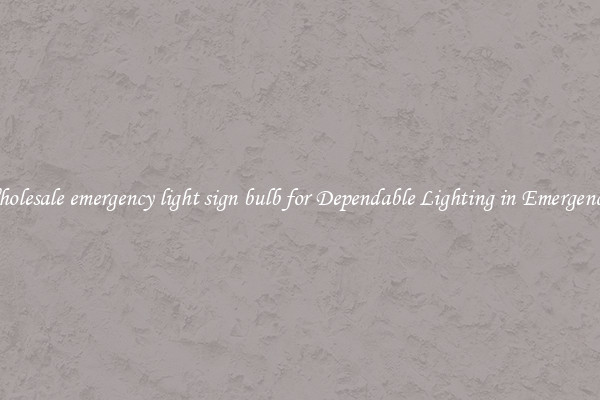 Wholesale emergency light sign bulb for Dependable Lighting in Emergencies