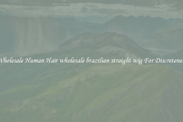 Wholesale Human Hair wholesale brazilian straight wig For Discreteness