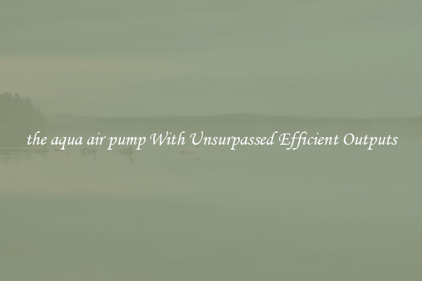the aqua air pump With Unsurpassed Efficient Outputs