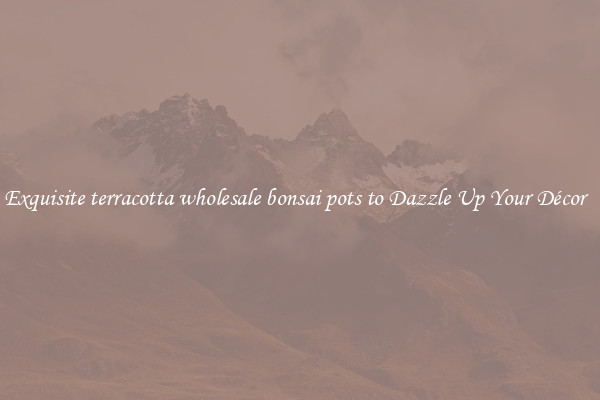 Exquisite terracotta wholesale bonsai pots to Dazzle Up Your Décor  