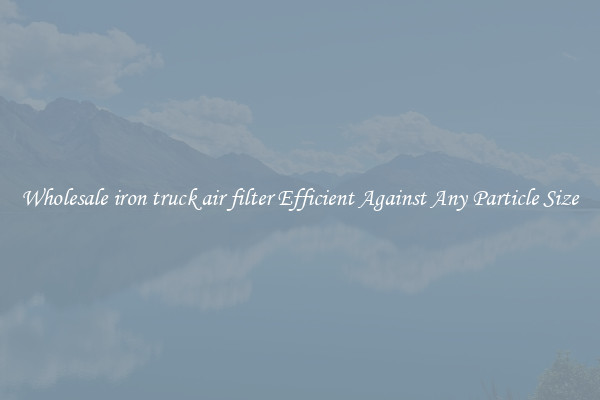 Wholesale iron truck air filter Efficient Against Any Particle Size