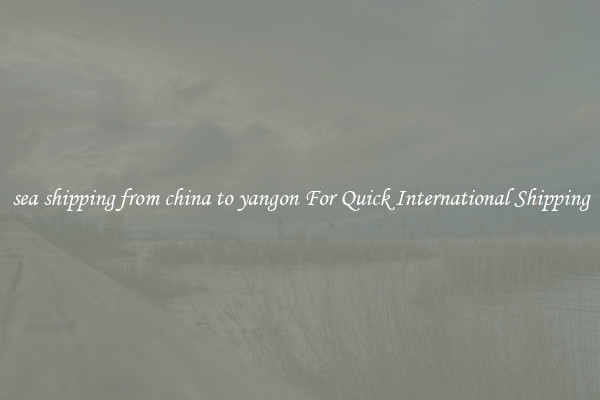 sea shipping from china to yangon For Quick International Shipping