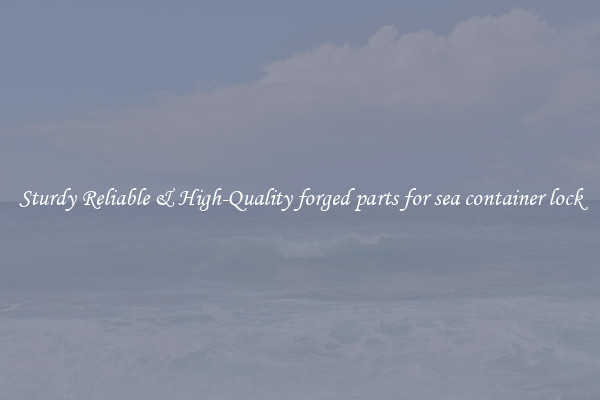 Sturdy Reliable & High-Quality forged parts for sea container lock
