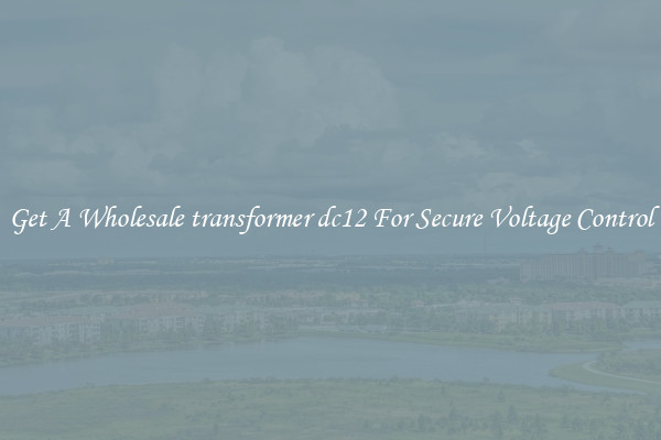 Get A Wholesale transformer dc12 For Secure Voltage Control