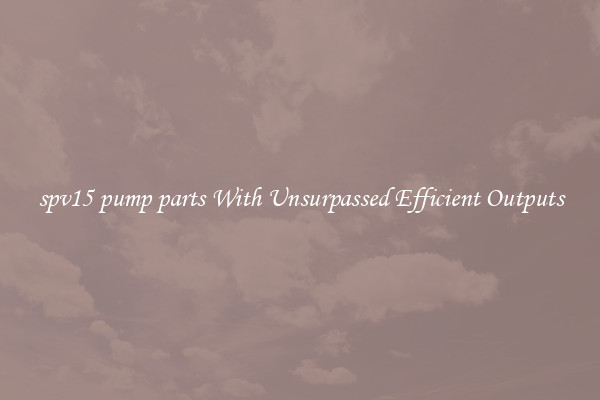spv15 pump parts With Unsurpassed Efficient Outputs