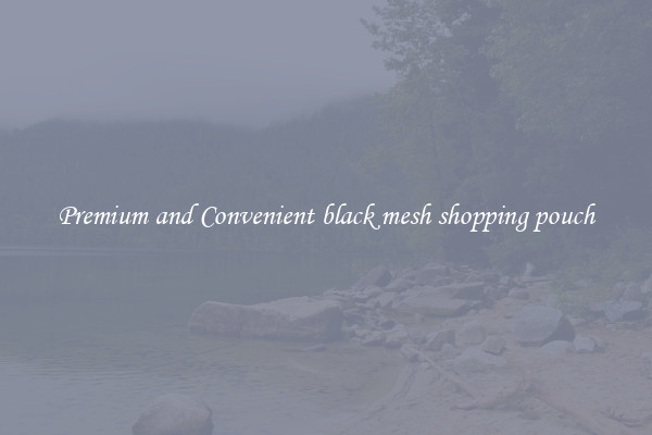 Premium and Convenient black mesh shopping pouch