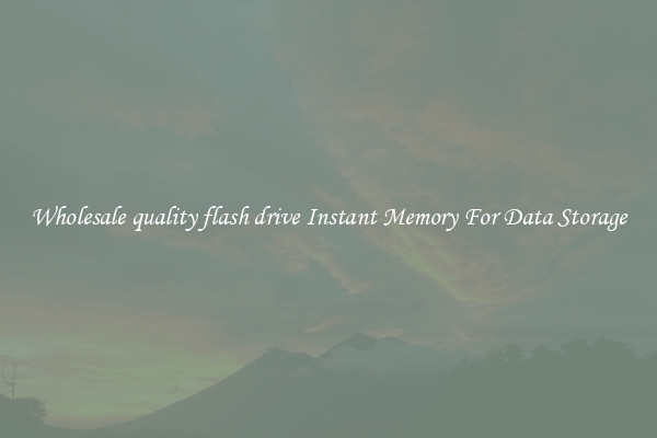 Wholesale quality flash drive Instant Memory For Data Storage
