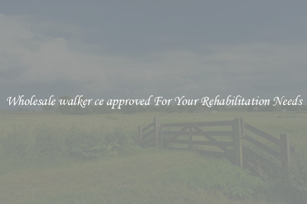 Wholesale walker ce approved For Your Rehabilitation Needs