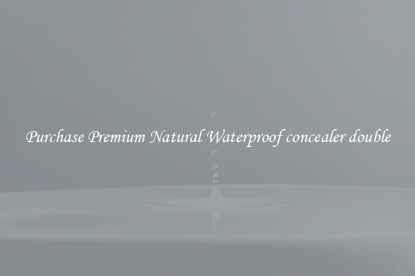 Purchase Premium Natural Waterproof concealer double