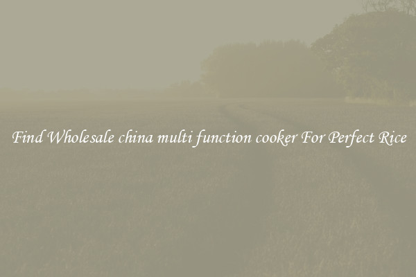 Find Wholesale china multi function cooker For Perfect Rice