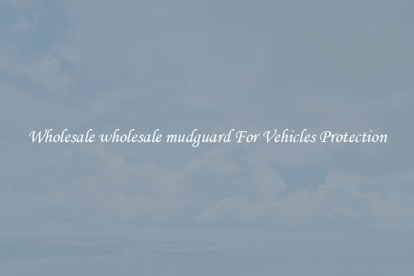 Wholesale wholesale mudguard For Vehicles Protection