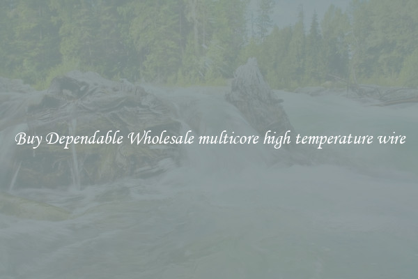 Buy Dependable Wholesale multicore high temperature wire