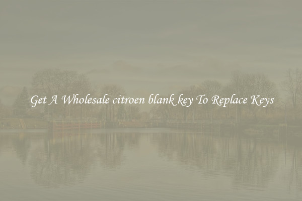 Get A Wholesale citroen blank key To Replace Keys